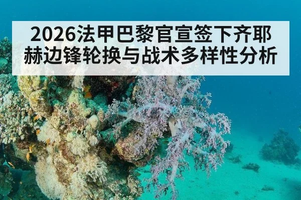 2026法甲巴黎官宣签下齐耶赫边锋轮换与战术多样性分析