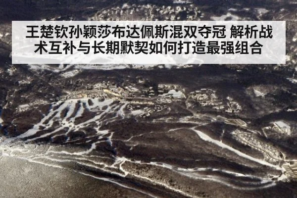 王楚钦孙颖莎布达佩斯混双夺冠 解析战术互补与长期默契如何打造最强组合